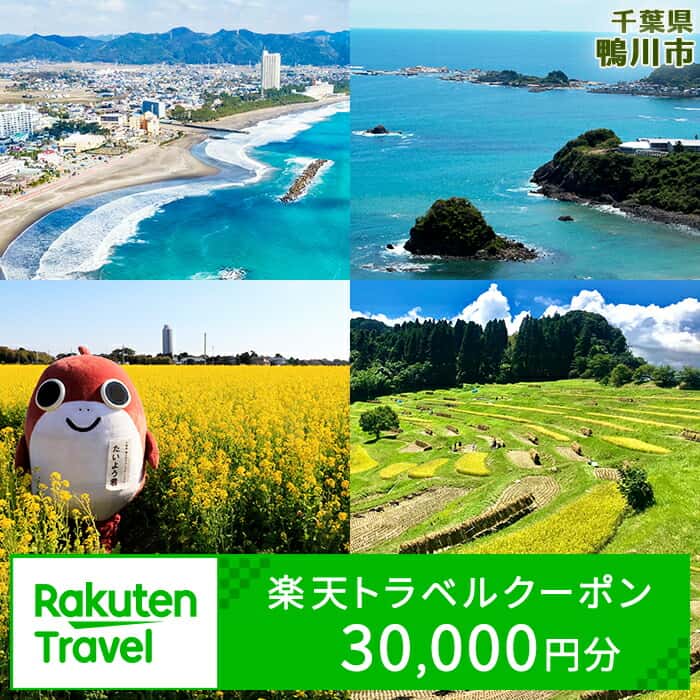 【ふるさと納税】千葉県鴨川市の対象施設で使える楽天トラベルクーポン 寄附金額100,000円 [0100-0052]