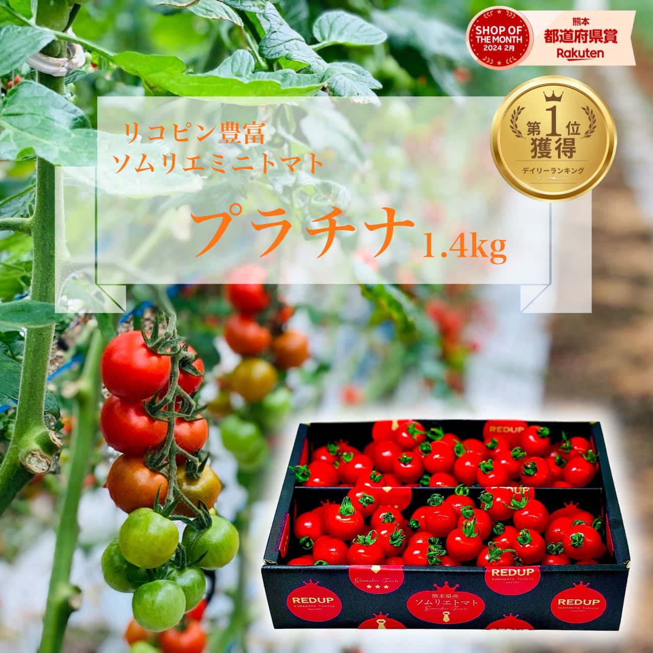 ＼26日で今季終了／ とまと ミニトマト 送料無料 【特別栽培農産物】ソムリエミニトマト プラチナ1.5kg トマト レシピ トマトジュース プチトマト プレゼント ギフト 内祝い ダイエット ふるさと 楽天市場 ネットショッピング sale セール プチギフト 父の日 熊本