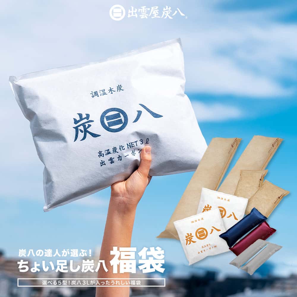 【レビューで国産竹炭GET！】炭八 湿気取り 湿気とり 除湿 梅雨対策 福袋 2026年 炭八の達人が選ぶ！ちょい足し 出雲屋炭八 除湿対策 湿気対策 室内 3L 小袋 タンス 玄関 下駄箱 湿気 調湿 脱臭 ペット 車内 衣替え 結露 結露防止 消臭 正規店