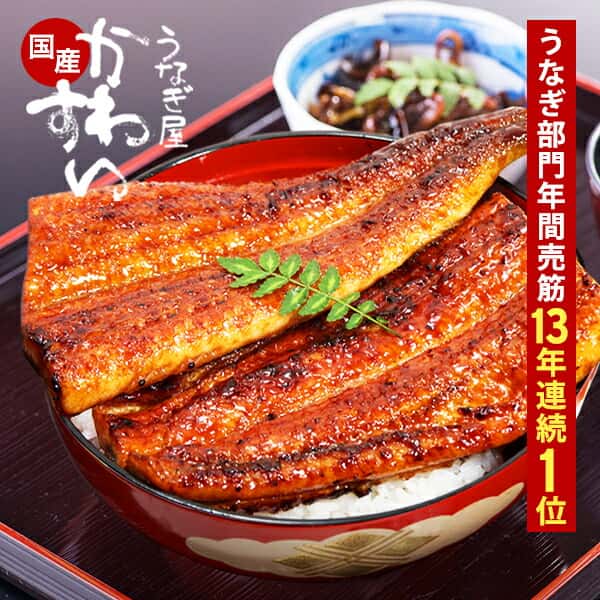 遅れてごめんね 父の日 ギフト ＼土日も休まず出荷中／ うなぎ 国産 かわすい 冷凍 うなぎ蒲焼き 3種セット ウナギ 鰻 蒲焼き ひつまぶし グルメ 内祝い【うなぎ屋かわすい】 送料無料 プレゼント 父の日ギフト2026 お中元 夏ギフト 御中元