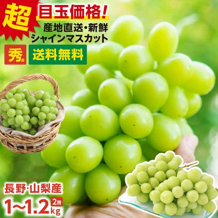 ＼楽天グルメ大賞受賞！先行予約／シャインマスカット 秀品 1.2kg 2房 ぶどう 送料無料 山梨 長野産 産地厳選 皮ごと食べられる 種なし 大房 1房あたり約600g ブドウ | 高糖度 シャイン マスカット 甘い 果物 ギフト プレゼント のし 贈答 旬の味覚 フルーツ 2026