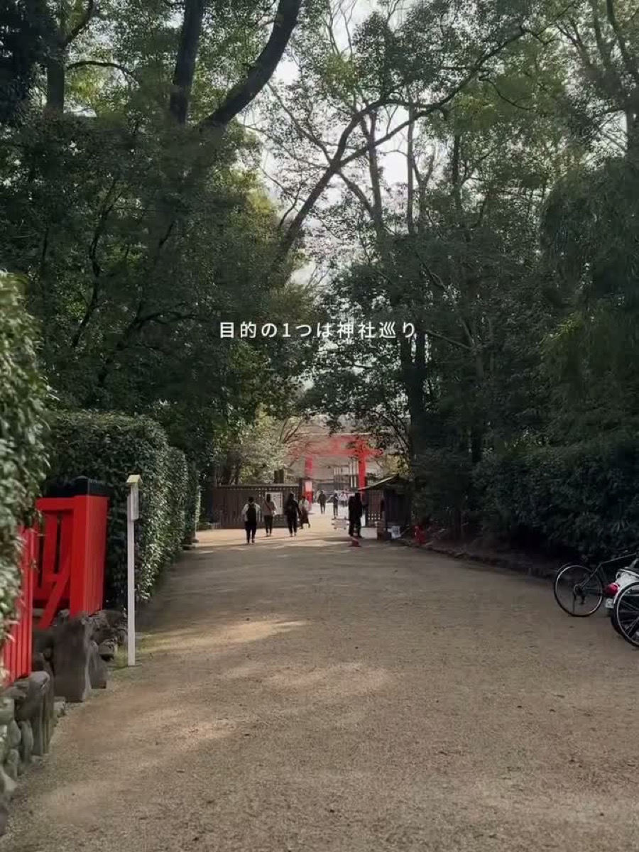 京都一人旅で巡った神社の参道。木々の奥に朱色の鳥居が見える